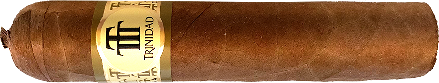 Trinidad Vigia