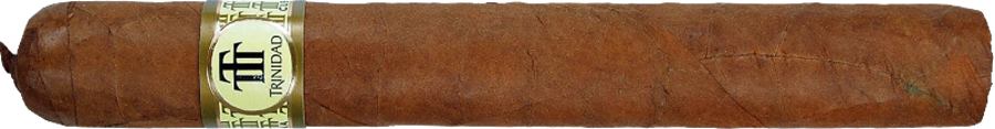 Trinidad Robustos Extra