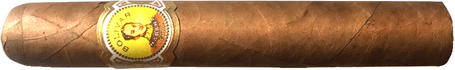 Bolívar Coronas Junior