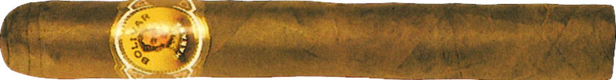 Bolívar Bolivares