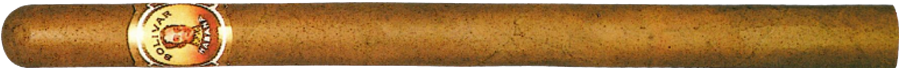 Bolívar Palmas