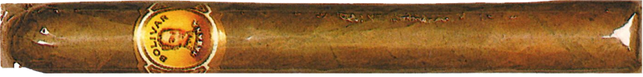 Bolívar Champions