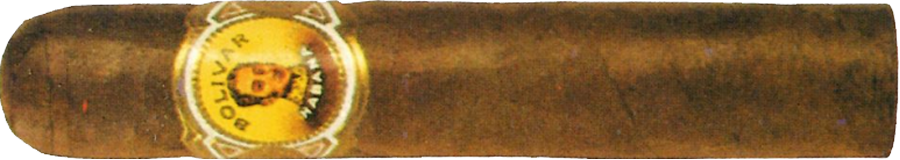 Bolívar Petit Bolivar