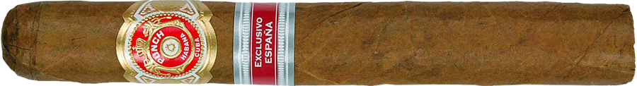 Punch Edición Regional España Regional Edition Series Gran Robusto