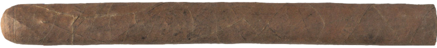 Saint Luis Rey Prominente