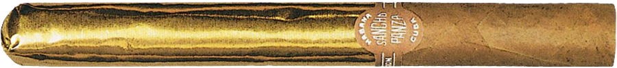 Sancho Panza Dorados