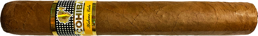 Cohiba Siglo VI
