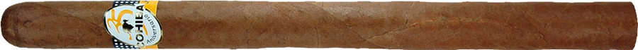 Cohiba Serie A Humidor Commemorative Release Cohiba A