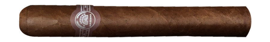 2012 H.Upmann Magnum 46 Porzellan Dose