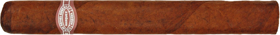 Rafael González Coronas Extra