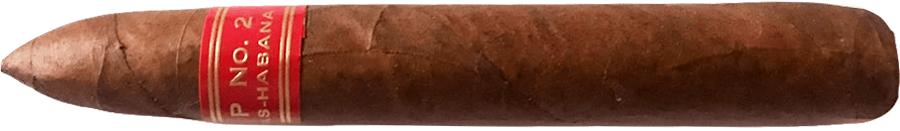 Partagas Serie P No.2