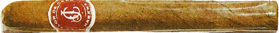 La Flor de Cano Iberos