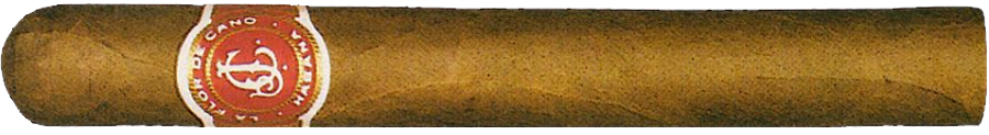 La Flor de Cano Diademas