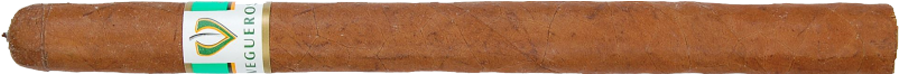 Vegueros Especiales No.1