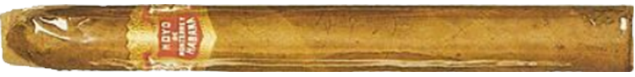 Hoyo de Monterrey Humidor No.1