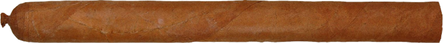 Hoyo de Monterrey Le Hoyo de Dauphin