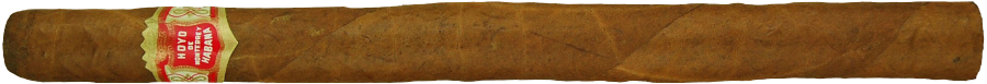 Hoyo de Monterrey Particulares Trial Other Special Release Particulares