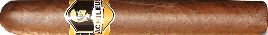 Taishan Generał Wojownik 3