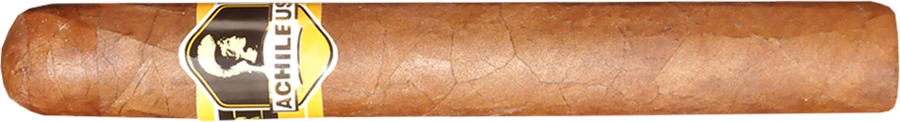 Taishan Jiangjun Zhanshen 1