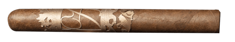 ACC special edition 18
