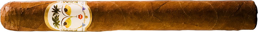 La Flor Dominicana El Museo