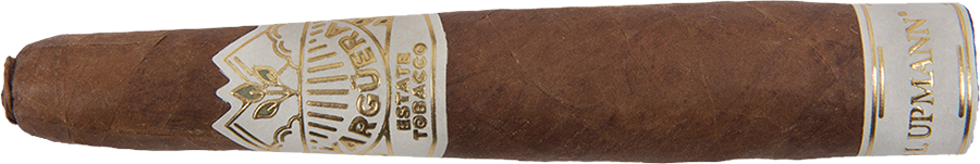 Yargüera H. Upmann Torbusto