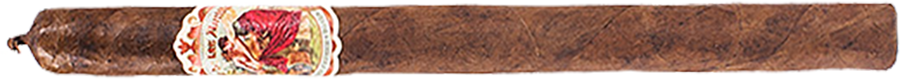Flor de las Antillas Lancero