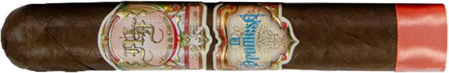 My Father La Promesa Robusto Grande