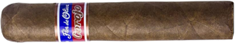 Oliva Flor De Oliva Bundles Corojo Robusto