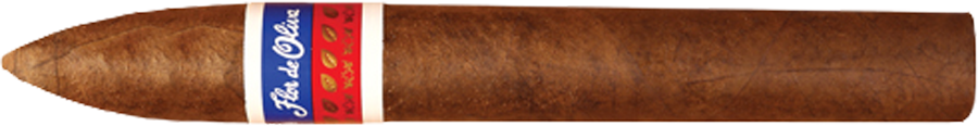Oliva Flor De Oliva Bundles Original Torpedo