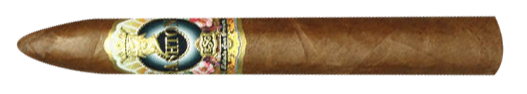 Ashton ESG 22 Year Salute