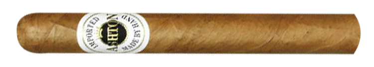 Ashton Corona