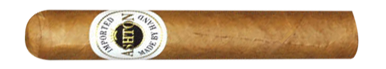 Ashton Magnum