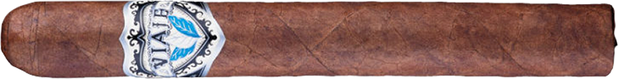 Viaje Exclusivo Nicaragua Toro 2016