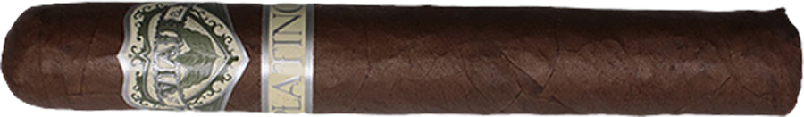 VIAJE PLATINO SUENO