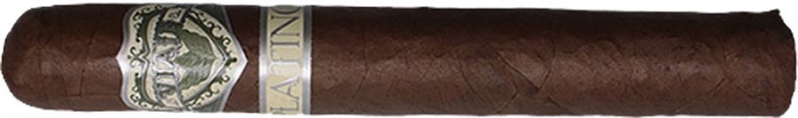 VIAJE PLATINO CHIVA