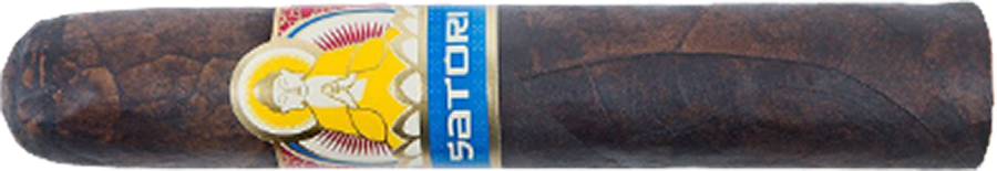 VIAJE SATORI ARYA