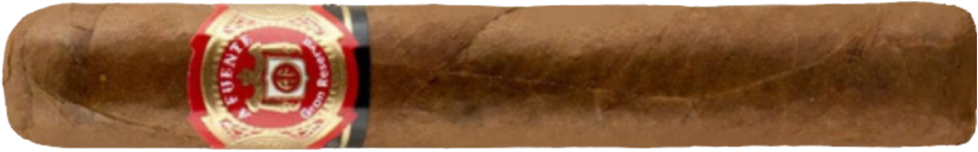 Arturo Fuente Don Carlos Robusto