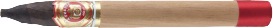 Arturo Fuente Anejo Reserva No. 888