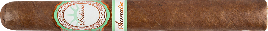 Patina Sumatra Copper