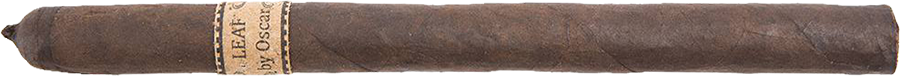 Leaf by Oscar Maduro Lancero