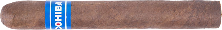 Cohiba Blau Robusto