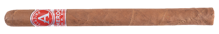Aladino Cameroon Elegante