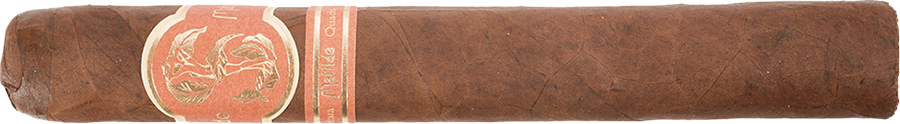 Matilde Quadrata Toro Bravo