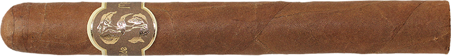 Matilde Renacer Corona