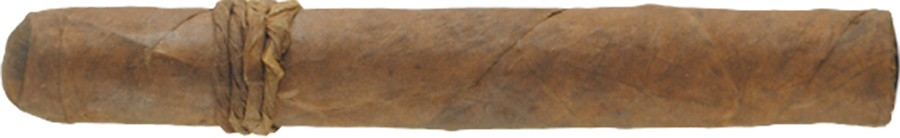 CAO Amazon Basin Limited Edition Toro