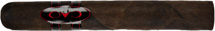 CAO Consigliere Associate Robusto