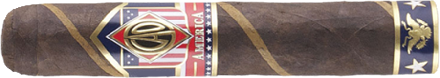 CAO America Potomac