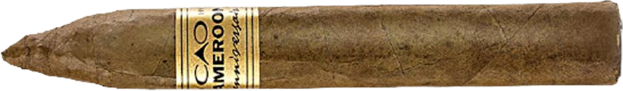 CAO Cameroon Perfecto1