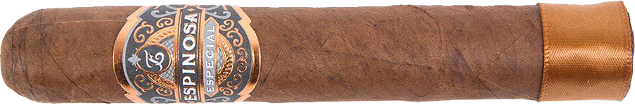 Espinosa Especial Nr. 4